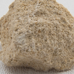 Glasindustrie