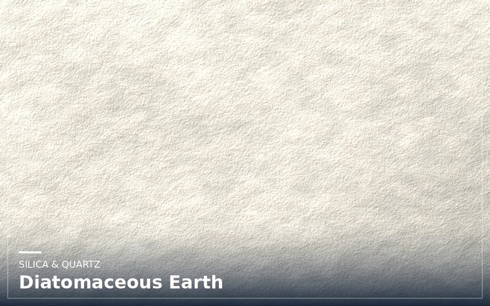Diatomaceous Earth